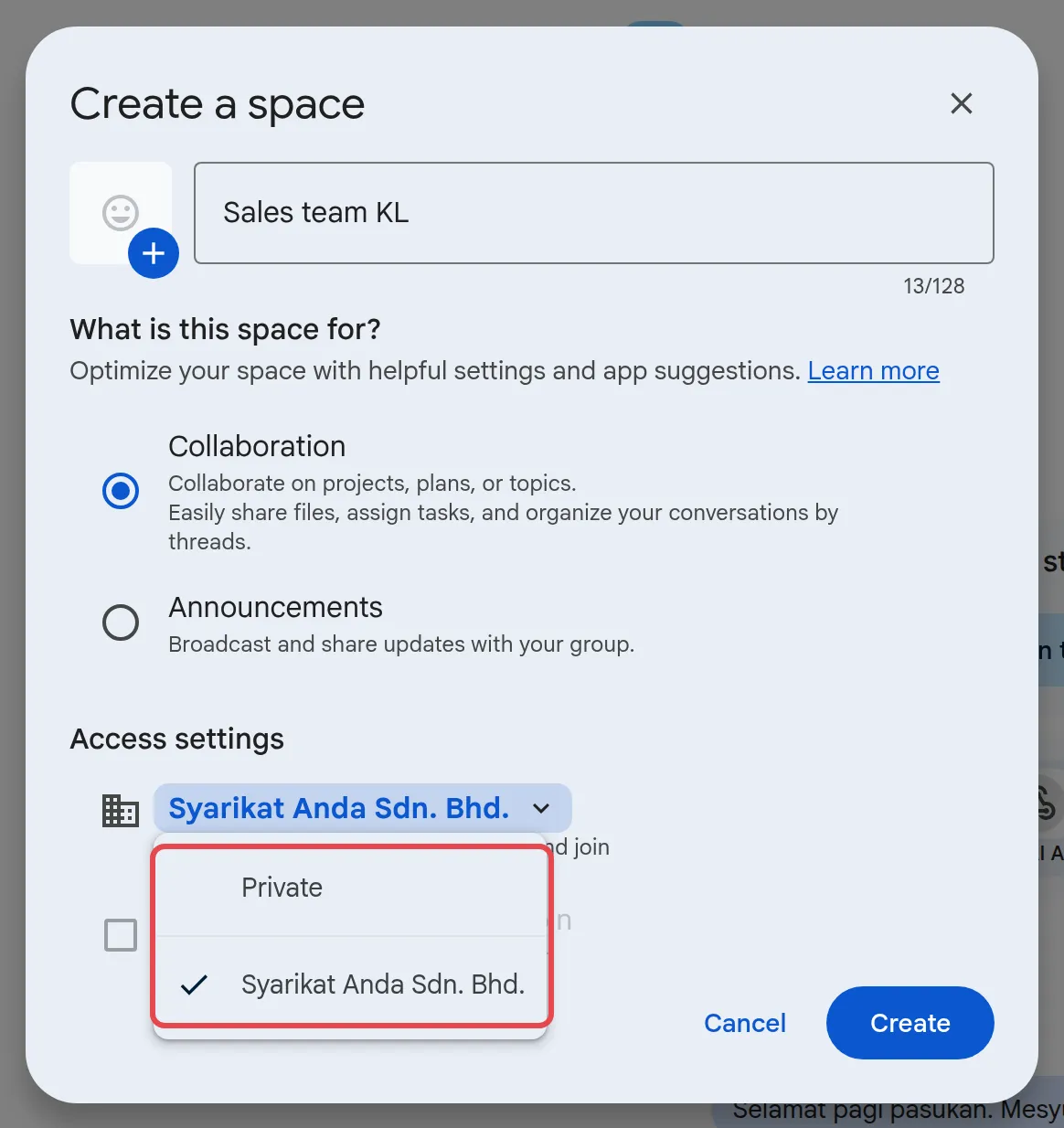 Access settings列表,有Private和公司名称