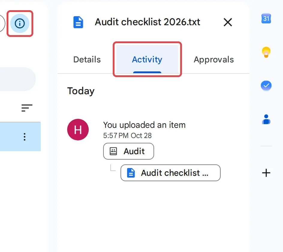 Drive details panel with the Activity tab open for a sample file in the Audit shared drive