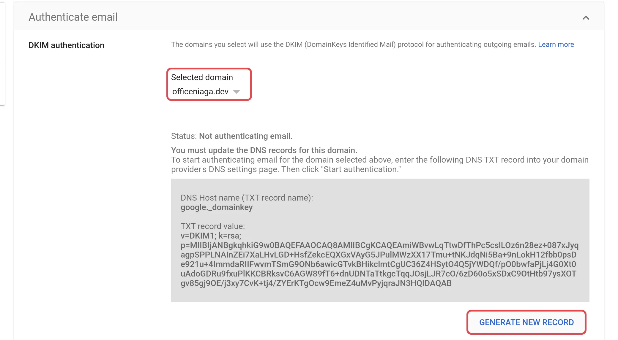 Selected domain和Generate New Record按钮