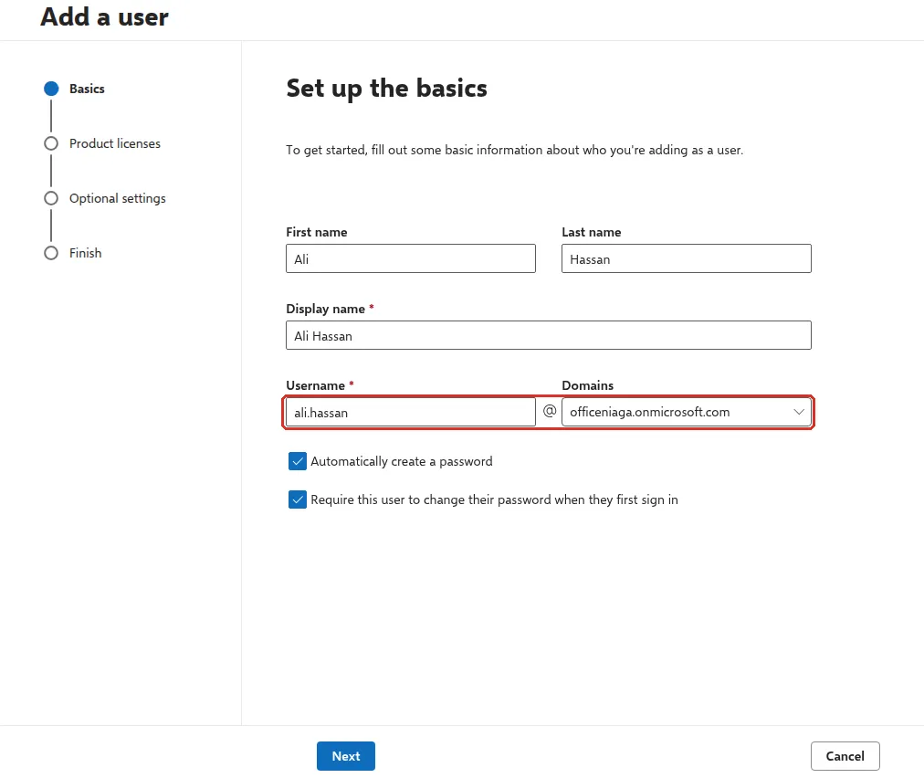 Set up the basics page with a sample name filled in and the Username and Domains boxes highlighted