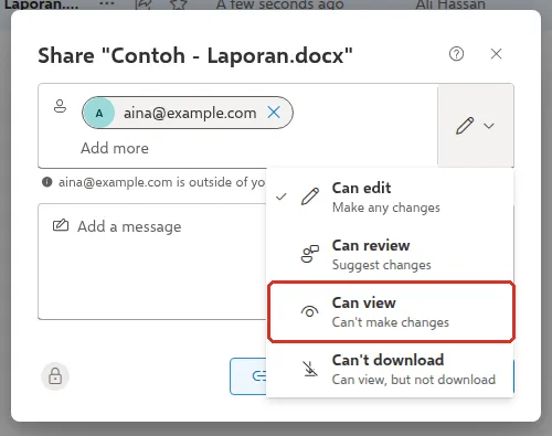 Share box with a sample email added and the permission list open, Can view highlighted