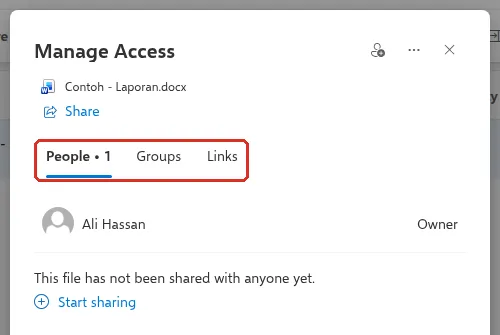 Manage Access window with the People, Groups and Links tabs highlighted